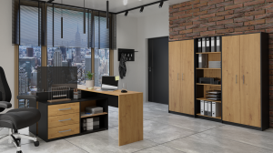 REGAŁ BIUROWY SALON BIURO DRZWI OLIV 2D ANTRACYT / DĄB ARTISAN (8/10)