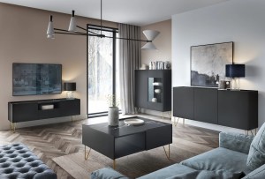 Vitrína HARMONY WT97 (6/8)